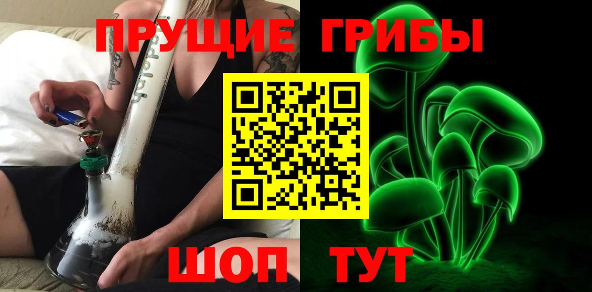 Галлюциногенные грибы Psilocybe Переславль-Залесский